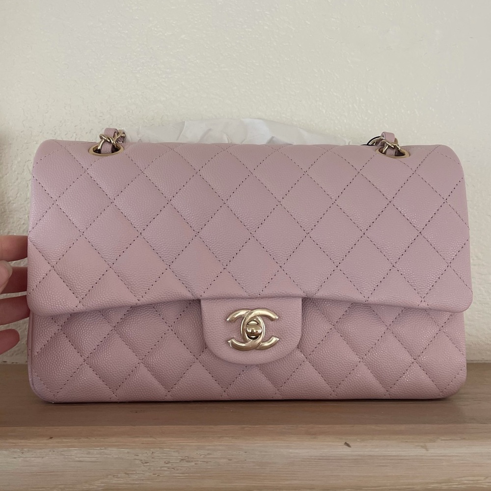 Brand New Chanel Classic Flap Spring 2021 Pink Bag